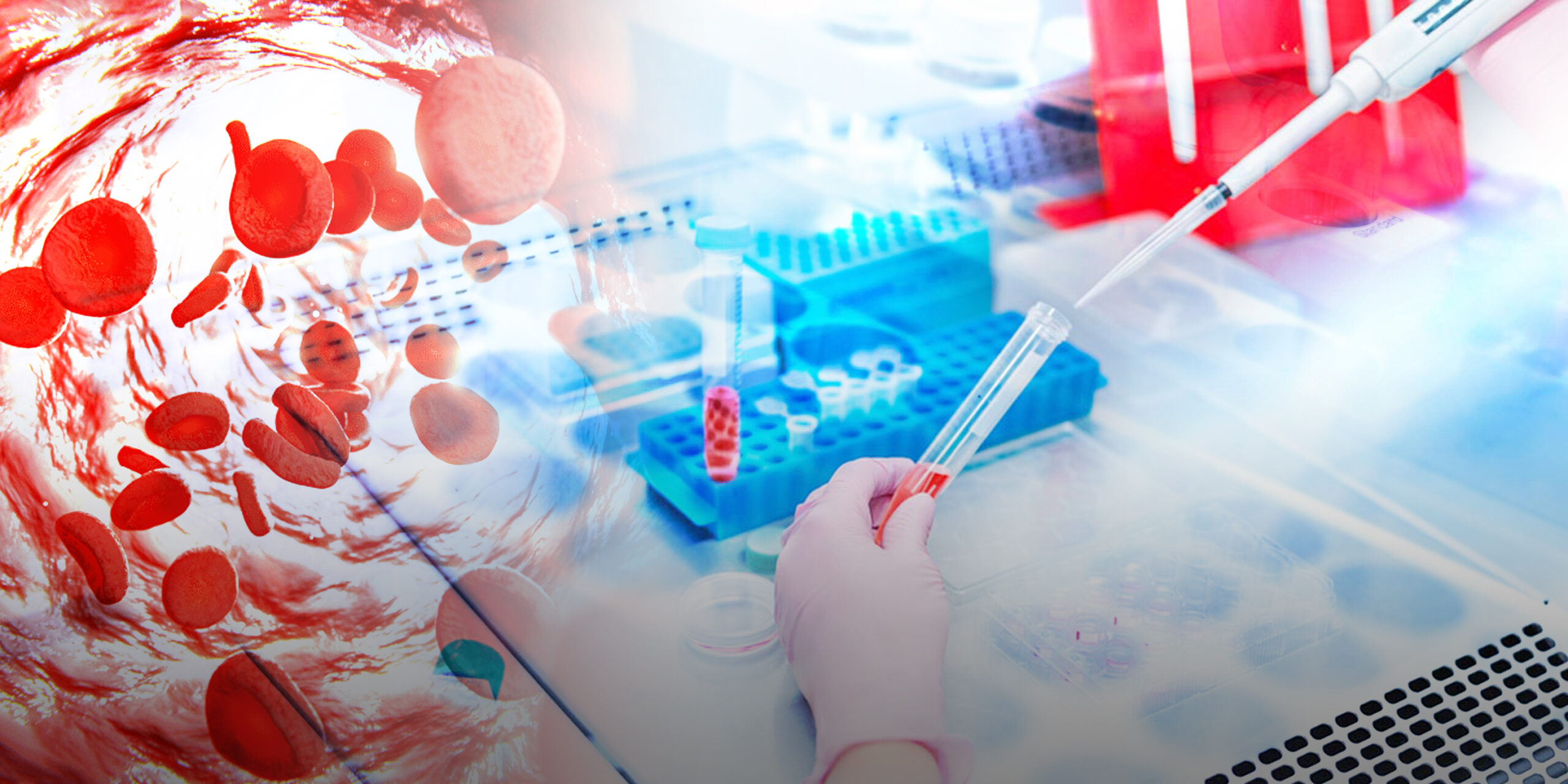 ISP informa sobre nueva normativa que regula dispositivos médicos de diagnóstico in vitro para calificación microbiológica de donaciones en servicios de sangre